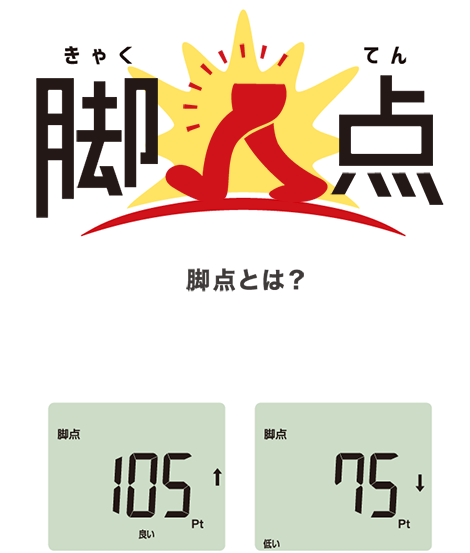 脚点とは？脚の筋肉量を点数化したもの。