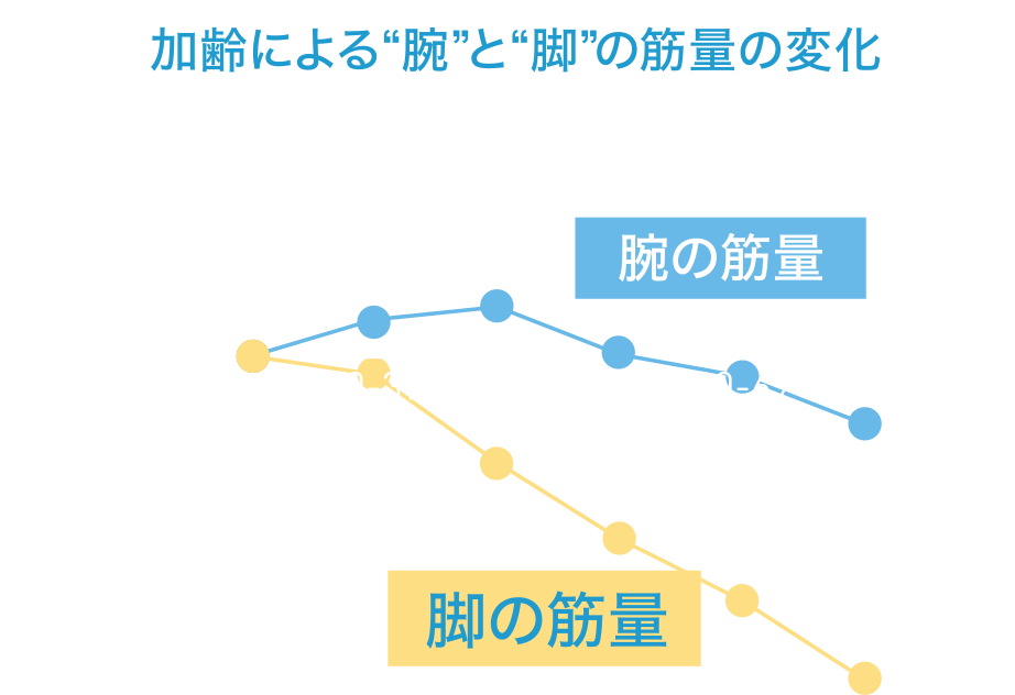 加齢による“腕”と“脚”の筋量の変化