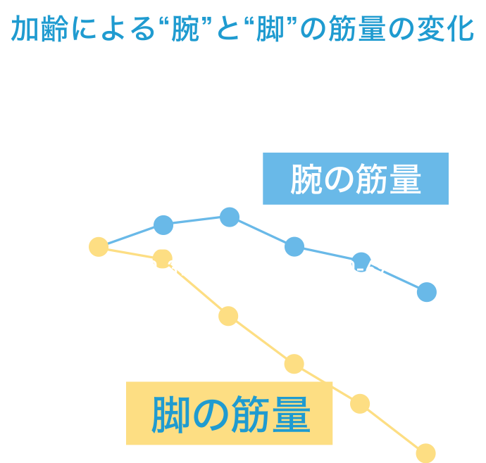 脚の筋肉量を点数化した「脚点」がチェックできる体組成計BC-771｜タニタ