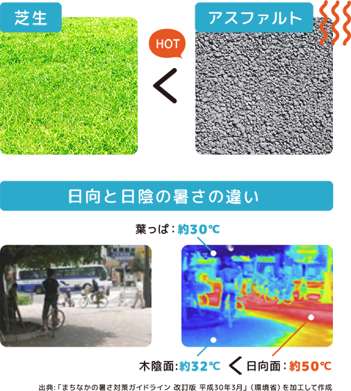 日向と日陰の暑さの違い
