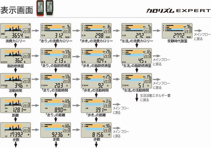 表示方法 カロリズム expert