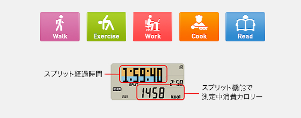 活動量計 カロリズムエキスパートプラス AM-143｜活動量計カロリズム