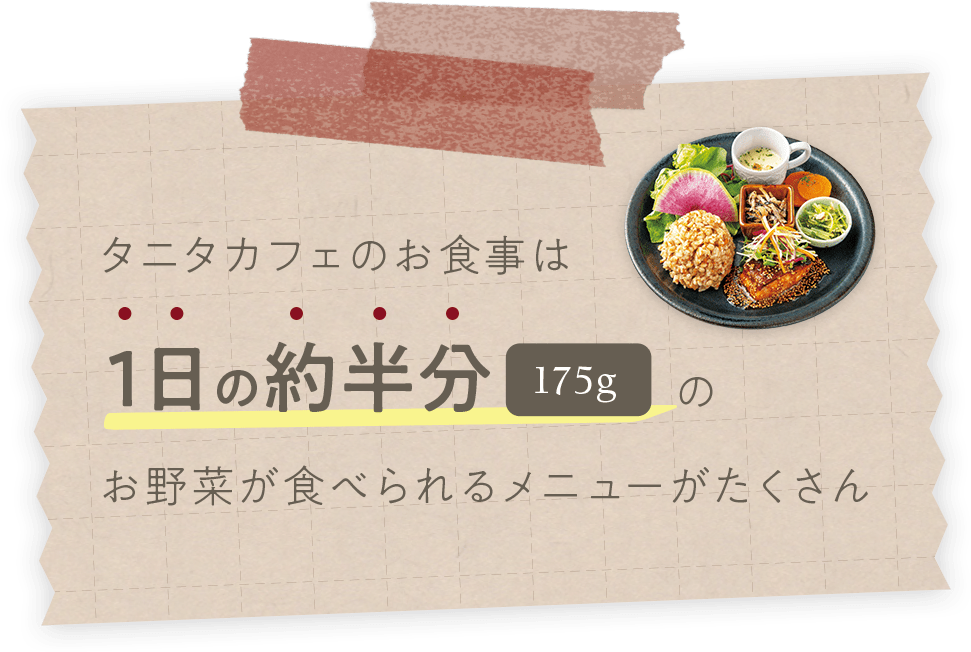 タニタカフェのお食事は1日の約半分175gのお野菜が食べられるメニューがたくさん